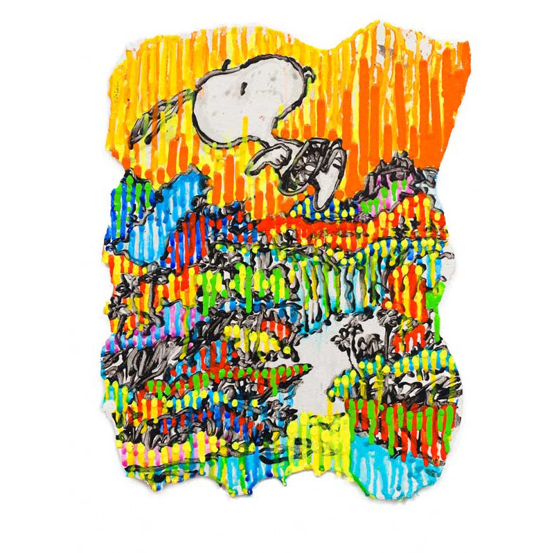 Tom Everhart "Super Fly" Series Limited Edition